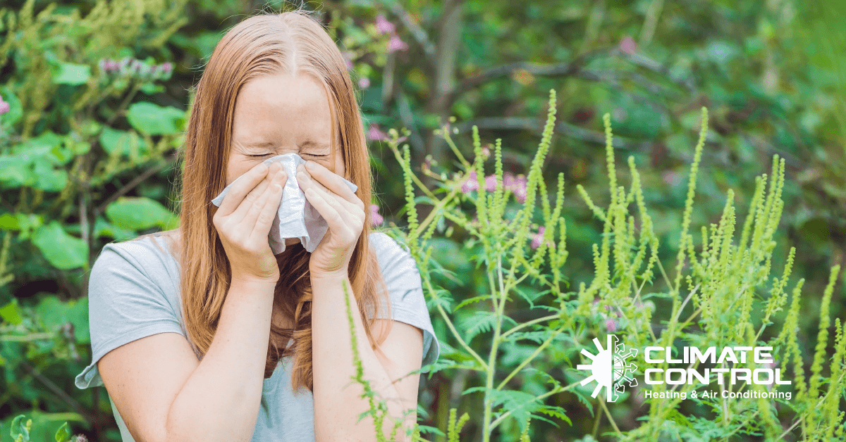 Breathe Easier During Allergy Season